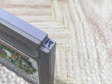 Teenage Mutant Ninja Turtles TMNT 2 Boxed Nintendo GameBoy Japan - UF5219