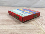 Teenage Mutant Ninja Turtles TMNT 2 Boxed Nintendo GameBoy Japan - UF5219