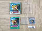 Kaeru no Tame ni Kane wa Naru Boxed Nintendo GameBoy Japan - UF5223