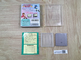 Kaeru no Tame ni Kane wa Naru Boxed Nintendo GameBoy Japan - UF5223