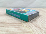 Kaeru no Tame ni Kane wa Naru Boxed Nintendo GameBoy Japan - UF5223