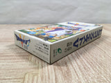 Dragon Quest V 5 Boxed Nintendo Super Famicom SNES Japan - UF5239