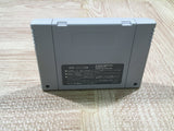 Lennus Paladin's Quest Boxed Nintendo Super Famicom SNES Japan - UF5261