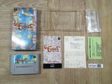 Lennus Paladin's Quest Boxed Nintendo Super Famicom SNES Japan - UF5261