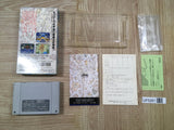Lennus Paladin's Quest Boxed Nintendo Super Famicom SNES Japan - UF5261