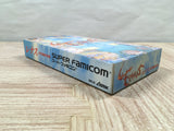 Lennus Paladin's Quest Boxed Nintendo Super Famicom SNES Japan - UF5261