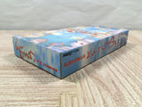 Lennus Paladin's Quest Boxed Nintendo Super Famicom SNES Japan - UF5261