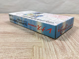 Lennus Paladin's Quest Boxed Nintendo Super Famicom SNES Japan - UF5261
