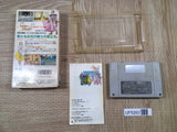 Silva Saga 2 Boxed Super Famicom SNES Japan - UF5263