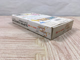 Silva Saga 2 Boxed Super Famicom SNES Japan - UF5263