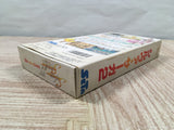 Silva Saga 2 Boxed Super Famicom SNES Japan - UF5263