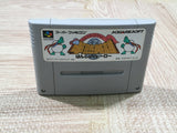Hanjuku Hero Boxed Nintendo Super Famicom SNES Japan - UF5267