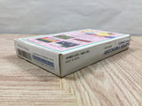 Hanjuku Hero Boxed Nintendo Super Famicom SNES Japan - UF5267