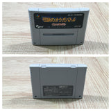 Ogre Battle The March of the Black Queen Boxed Super Famicom SNES Japan - UF5278