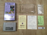 Populous Boxed Nintendo Super Famicom SNES Japan - UF5279