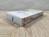 Mystery Dungeon Fushigi no Dungeon 2 Boxed Super Famicom SNES Japan - UF5283