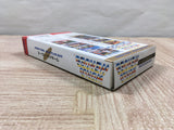 World Heroes Boxed Nintendo Super Famicom SNES Japan - UF5289