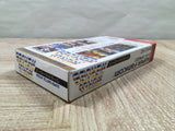 World Heroes Boxed Nintendo Super Famicom SNES Japan - UF5289