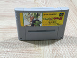 Dragon Ball Z Super Butouden Boxed Nintendo Super Famicom SNES Japan - UF5290