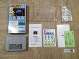 Star Fox Boxed Nintendo Super Famicom SNES Japan - UF5297