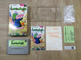 Lemmings Boxed Nintendo Super Famicom SNES Japan - UF5300