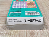 Syounen Ashibe Boxed Nintendo GameBoy Japan - UF5323