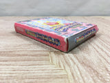 Kirby's Sparkling Kids Kirakira Boxed Nintendo GameBoy Japan - UF5328