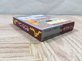 Mole Mania Boxed Nintendo GameBoy Japan - UF5329
