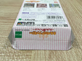 Sylvanian Families Otogi no Kuni no Pendant Boxed GameBoy Japan - UF5330