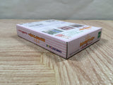 Sylvanian Families Otogi no Kuni no Pendant Boxed GameBoy Japan - UF5330
