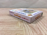 Sylvanian Families Otogi no Kuni no Pendant Boxed GameBoy Japan - UF5330