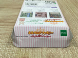 Sylvanian Families Otogi no Kuni no Pendant Boxed GameBoy Japan - UF5330
