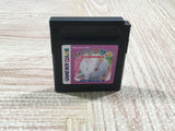 Kawaii Usagi Boxed Nintendo GameBoy Japan - UF5331