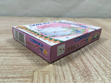 Kawaii Usagi Boxed Nintendo GameBoy Japan - UF5331