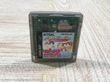 Hana Yori Dango Another Love Story Boxed Nintendo GameBoy Japan - UF5333