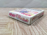 Hana Yori Dango Another Love Story Boxed Nintendo GameBoy Japan - UF5333