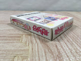 Hana Yori Dango Another Love Story Boxed Nintendo GameBoy Japan - UF5333