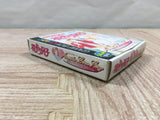 Hana Yori Dango Another Love Story Boxed Nintendo GameBoy Japan - UF5333
