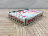 Hana Yori Dango Another Love Story Boxed Nintendo GameBoy Japan - UF5333