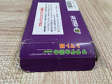 Princess Tomato in the Salad Kingdom Boxed Nintendo Famicom NES Japan - UF5348