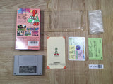 Super Mario World 2 Yoshi's Island Boxed Super Famicom SNES Japan - UF5365
