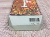 Romancing Sa Ga 3 Boxed Nintendo Super Famicom SNES Japan - UF5382
