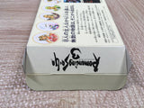Romancing Sa Ga 3 Boxed Nintendo Super Famicom SNES Japan - UF5382