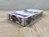 Elfaria II 2 The Quest of the Meld Boxed Super Famicom SNES Japan - UF5385