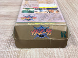 Haou Taikei Ryuu Knight Lord of Paladin Boxed Super Famicom SNES Japan - UF5386