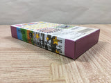 Kirby Bowl Kirby's Dream Course Boxed Nintendo Super Famicom SNES Japan - UF5420