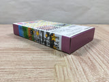 Kirby Bowl Kirby's Dream Course Boxed Nintendo Super Famicom SNES Japan - UF5422