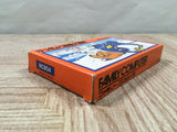 Antarctic Adventure Boxed Nintendo Famicom NES Japan - UF5445