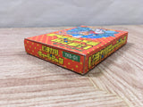 Ikinari Musician Boxed Nintendo Famicom NES Japan - UF5452