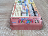 Wanko Mix Boxed Nintendo GameBoy Advance Japan - UF5456
